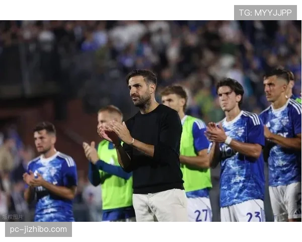 意大利出局意足协直接损失超5000万欧，还连累意甲联赛