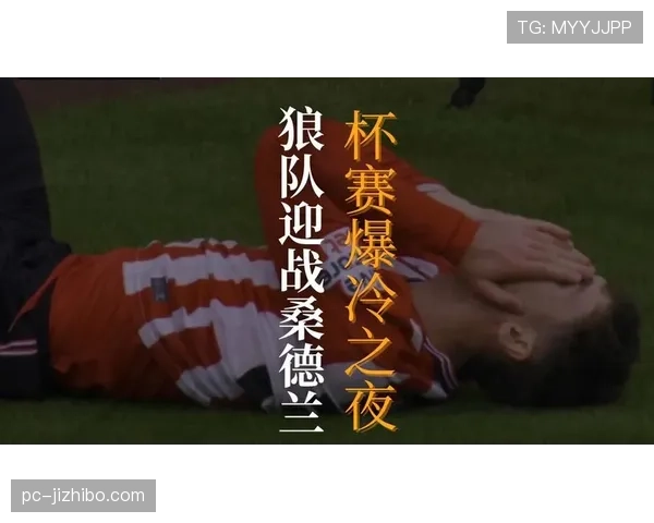 狼队2-1桑德兰，主场险胜继续稳居中游